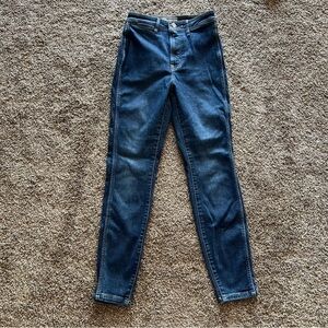 Everlane The Way High Skinny Jean